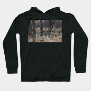 Geese on the pond Hoodie